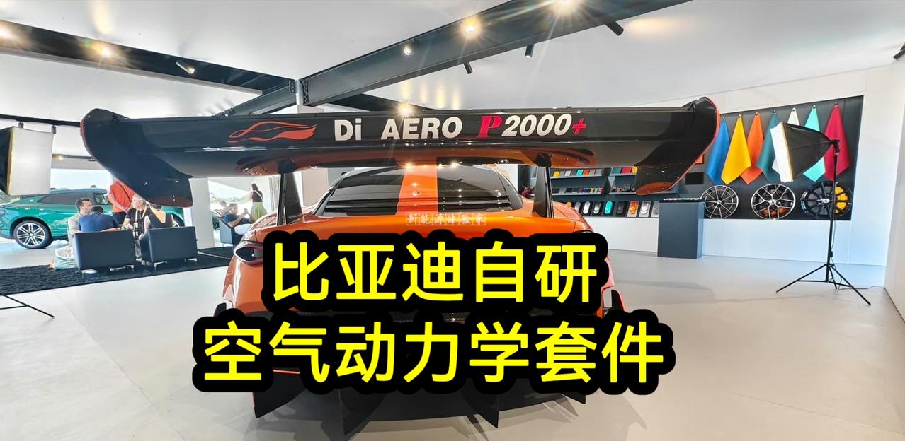Di‑AERO P2000+ ：比亚迪自研空气动力学套件，可提供2000牛以上下