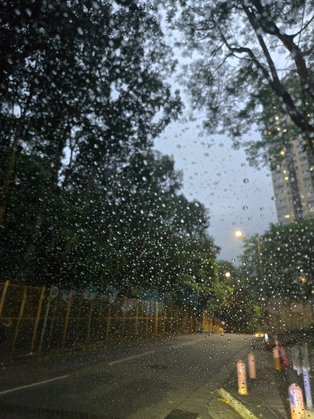 暴雨又來了
