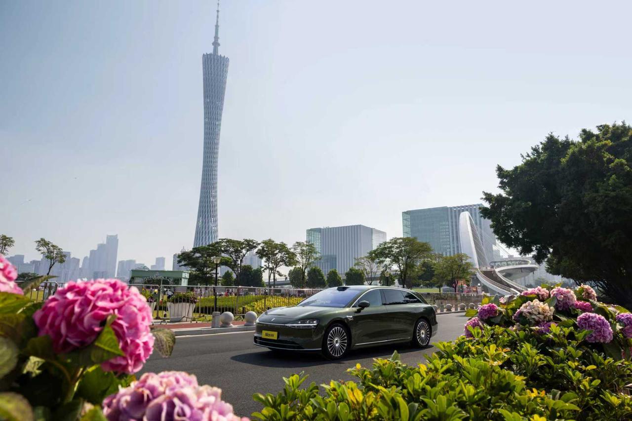 12月的花城广州，岭南独有的温润，阳光如期而遇，一抹“仙踪绿”打卡“小蛮腰”，与