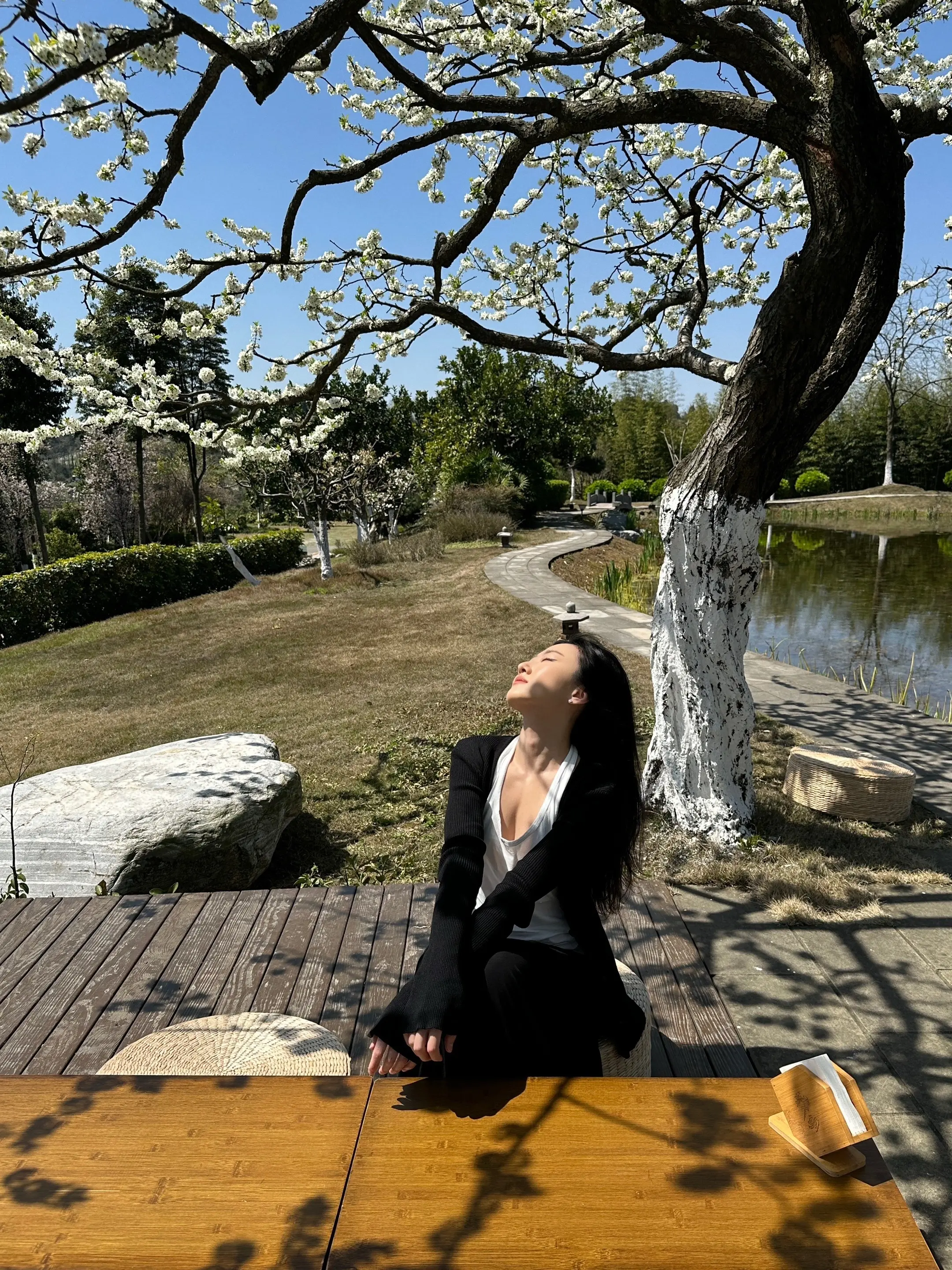 ZEN