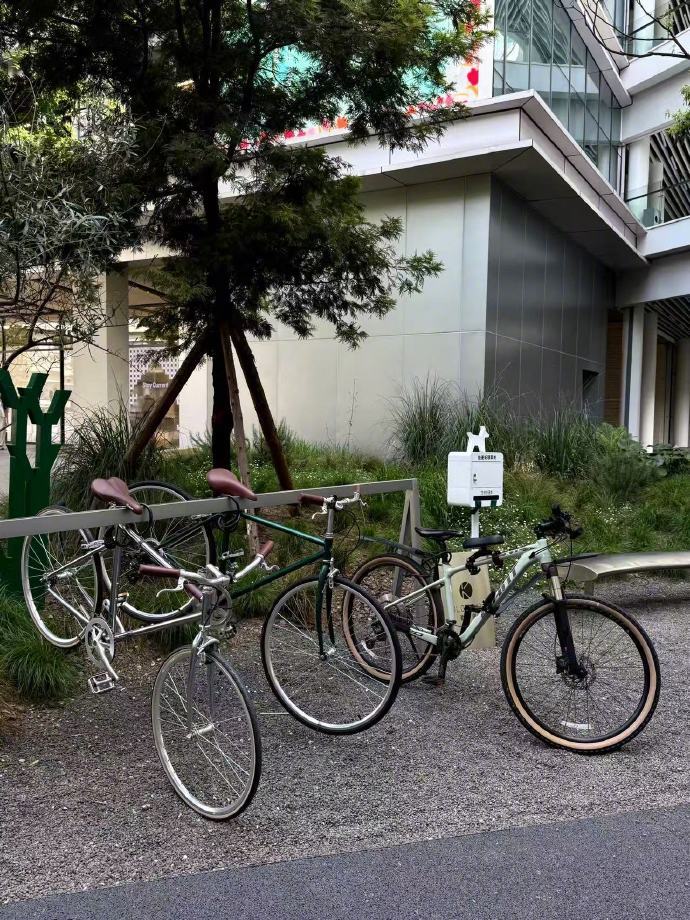 🌴˗ˋˏ🄻♥︎🅅🄴ˎˊ˗ 🦩生活就像一个玄学 越计划越没有以后 