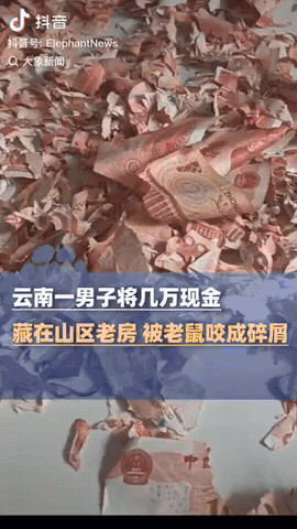 云南昭通，一男子将几万现金藏在塑料桶里，没想到他的几万块钱全被老鼠啃成了碎纸屑，