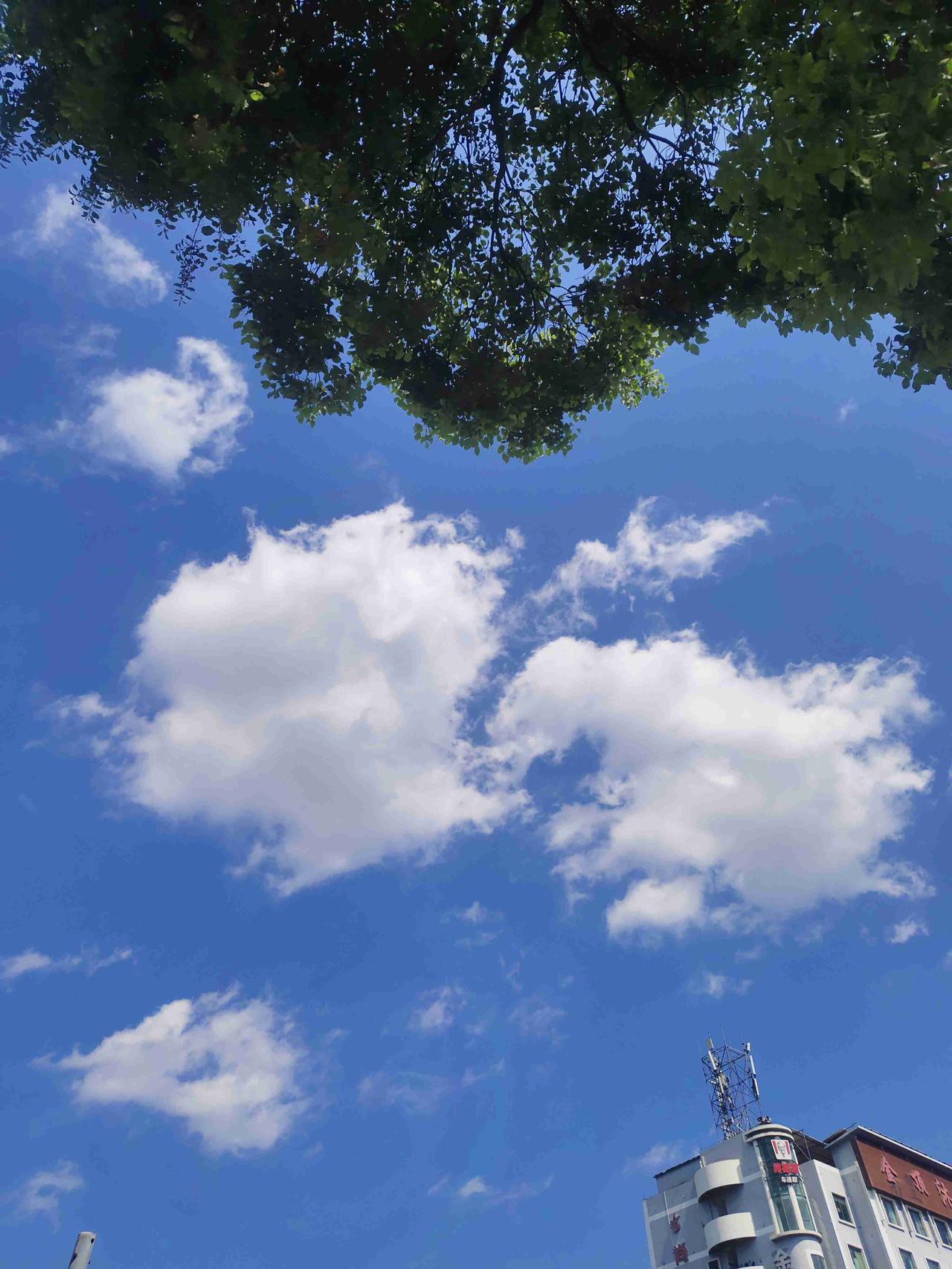 我的今日状态：🥲强颜欢笑
我这里的天气：☀️晴天，严热