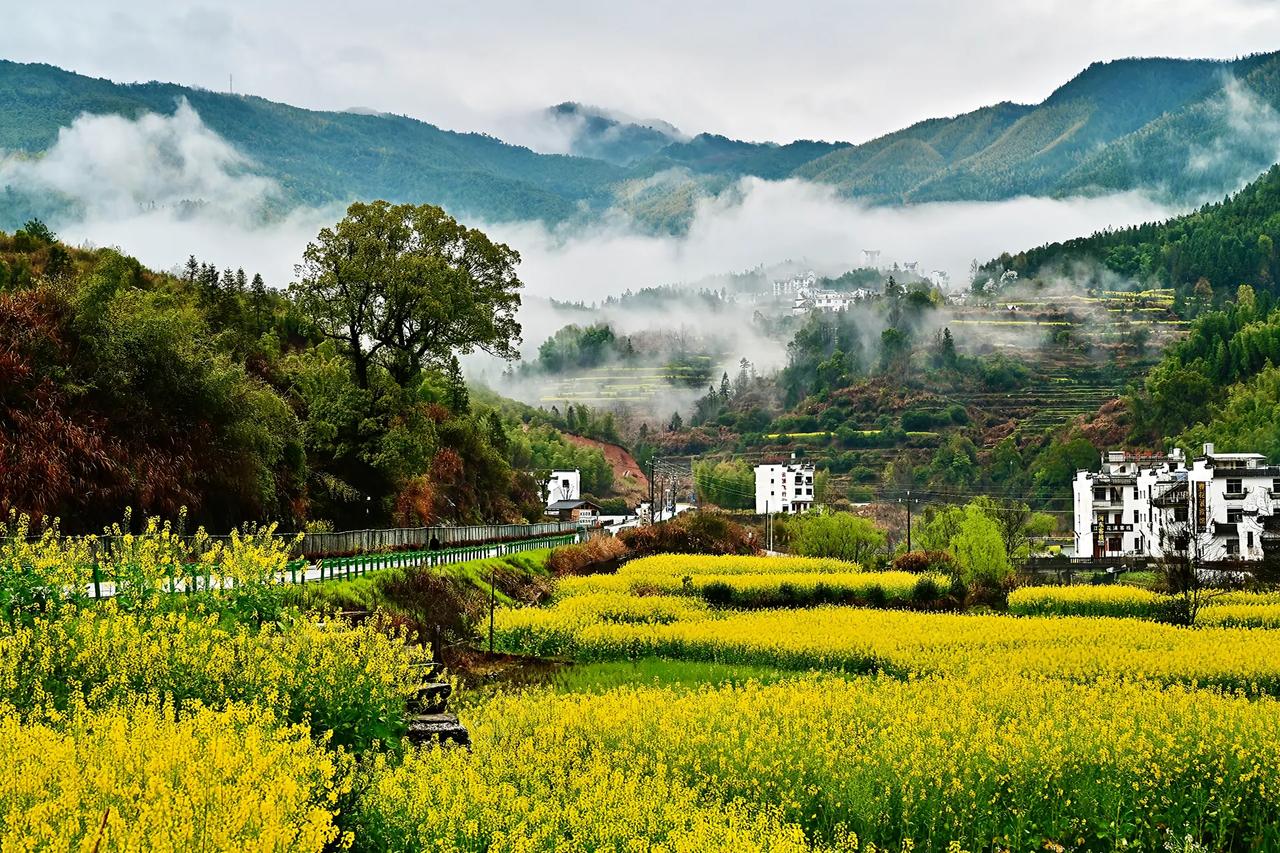 给所有家长提个醒，要是你一个月能挣 15000 块，你会把孩子送到月薪仅 300