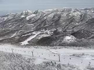 【 又一名中国游客在日本滑雪场遇难 】据日本媒体报道，一名40多岁的中国游客20