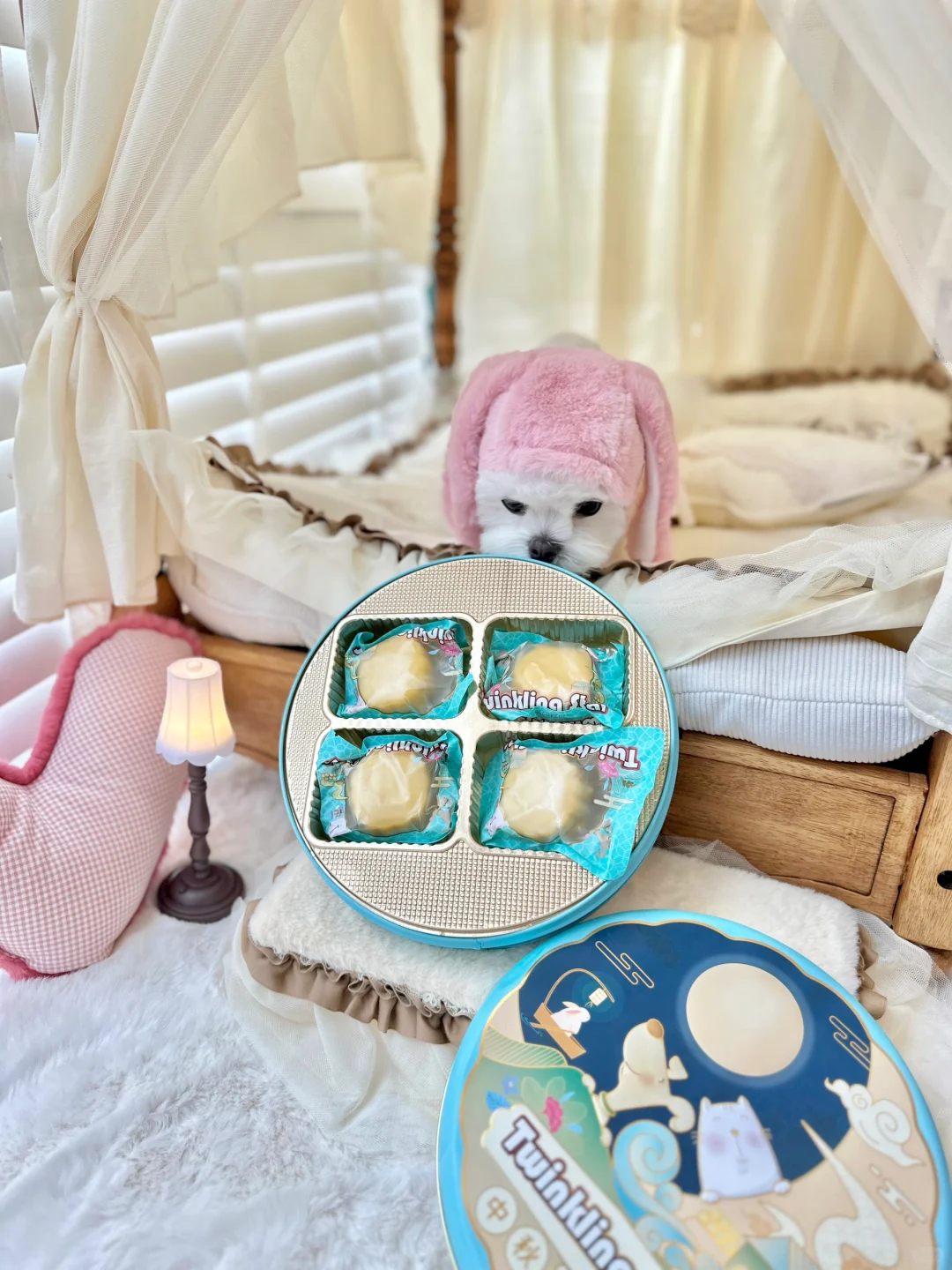 麻麻说我是玉兔🐰