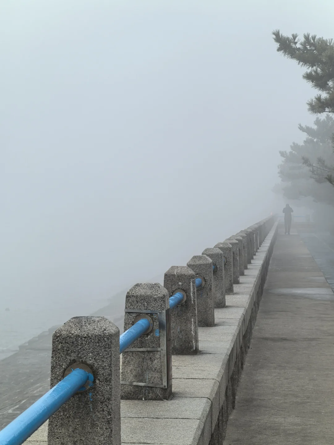 2.28“雾”必避开青岛旅游 2025第一大雾