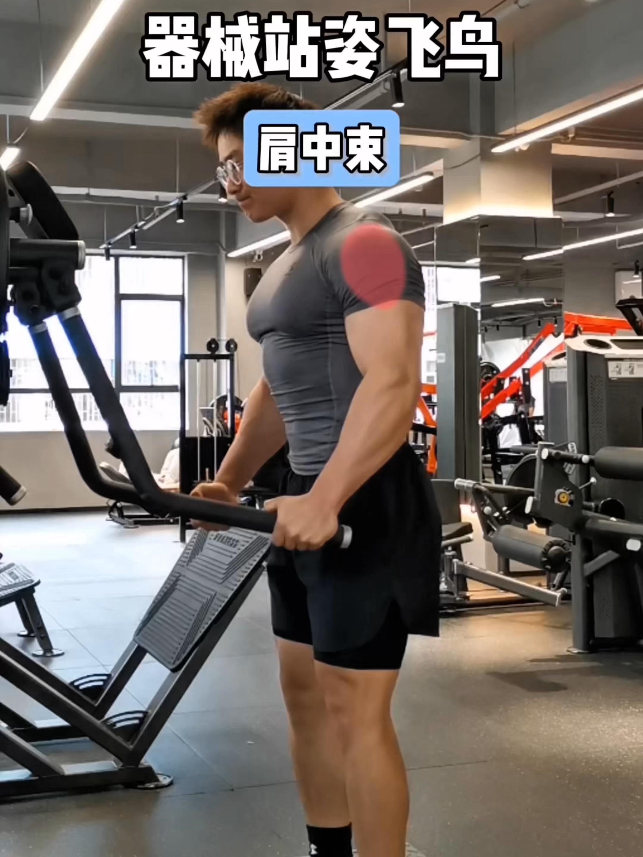器械站姿飞鸟，保姆级教程！ 一、目标肌群 器械站姿飞鸟，肩中束 二、练...