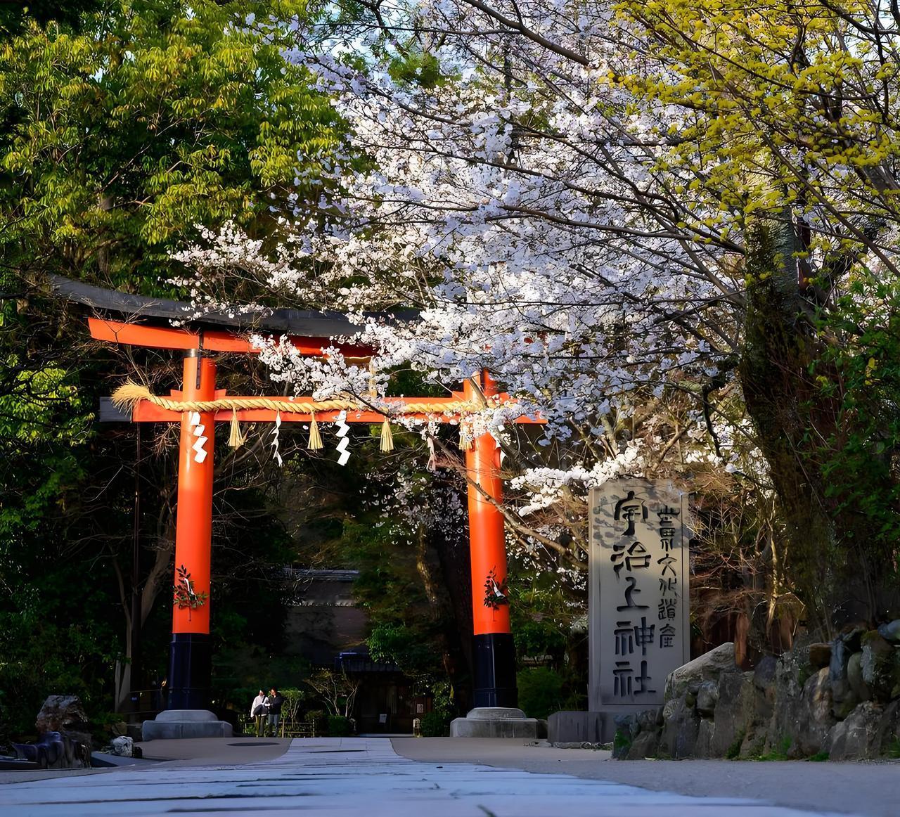 有人说，在击败日本之后，要学习当年兆惠灭准战争期间的车轮放平手段，清理日本的人口