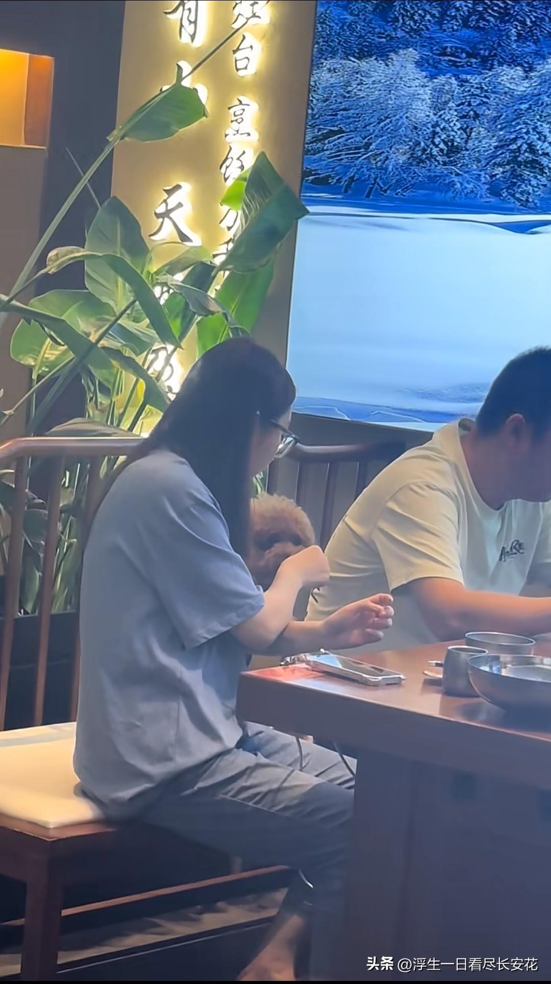 狗上桌，不止一桌，是两桌，小狗上桌，大狗也上桌，这次轮到重庆市的东北往事了。有重