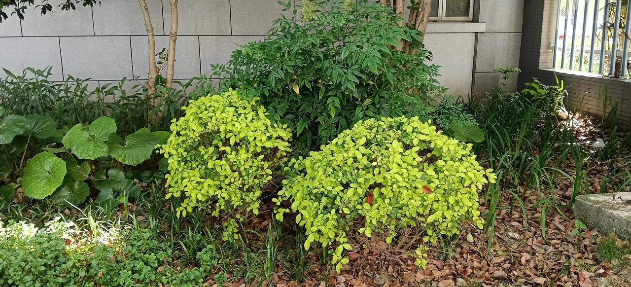 朱元璋蓝玉案杀了多少人?

根据《明史》记载，蓝玉案中被株连诛杀的多达一万五千余