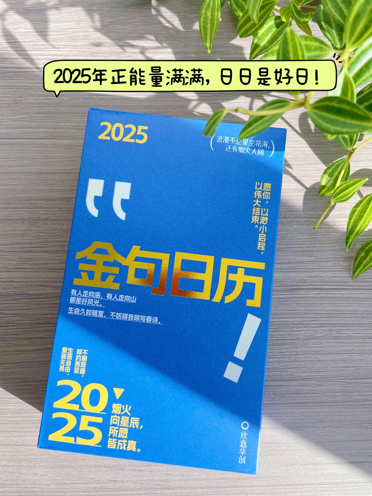 治愈自我，能量满满！从这本2025年日历开始！

“世界上只有一种真正的英雄主义