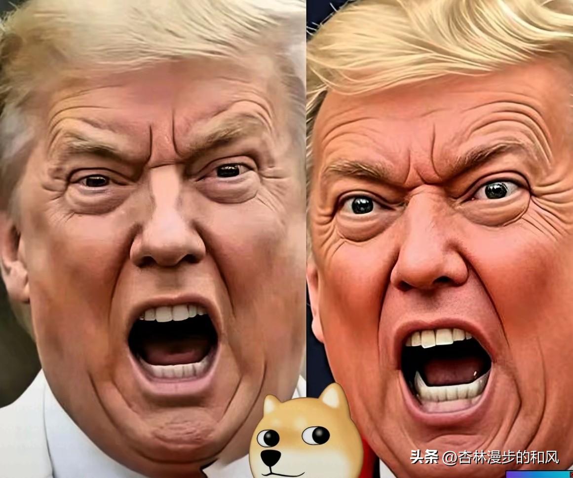 伊朗这次动真格了，背后藏着什么真相

伊朗今天真是下狠手了。伊朗的领袖执政39年