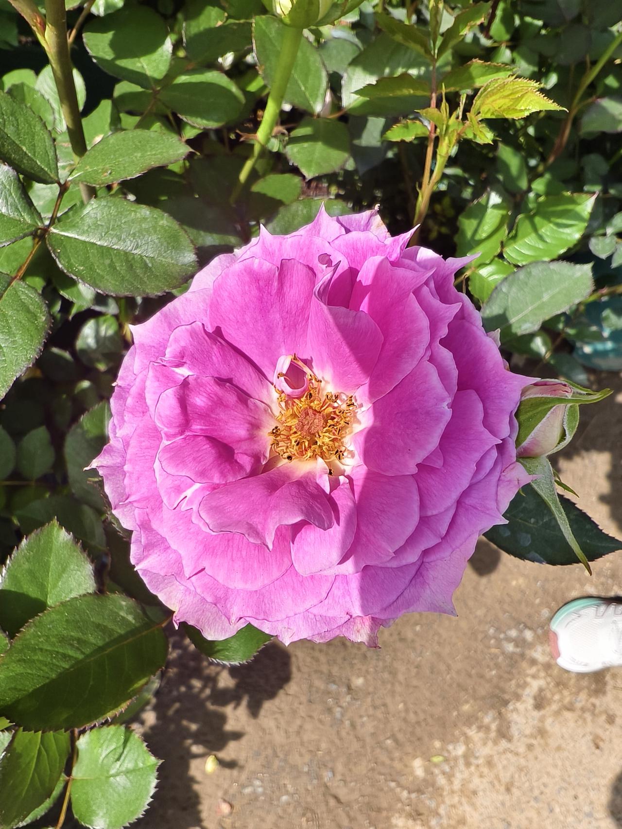 大家有没有稳定一些的副业推荐，每天赚个20-50元，当然有高收益的更好，现在下班