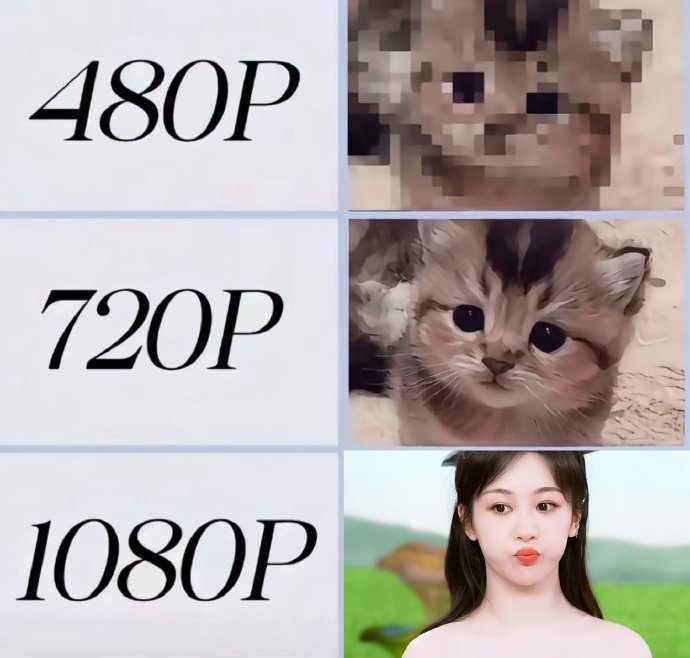 杨紫玉兰花开君再来 💜杨紫董竹君 “鲜花开在大山里，玫瑰藏在枝叶里，我不知道花