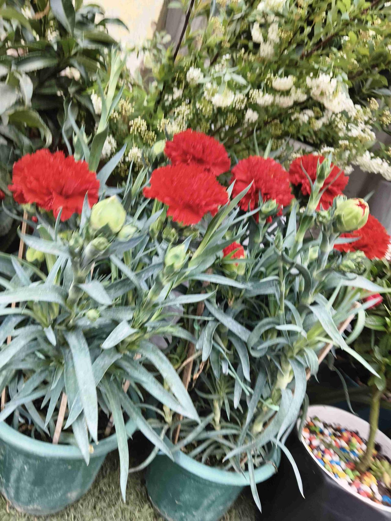 我的今日状态：😁轻松愉快
我这里的天气：☀️晴天