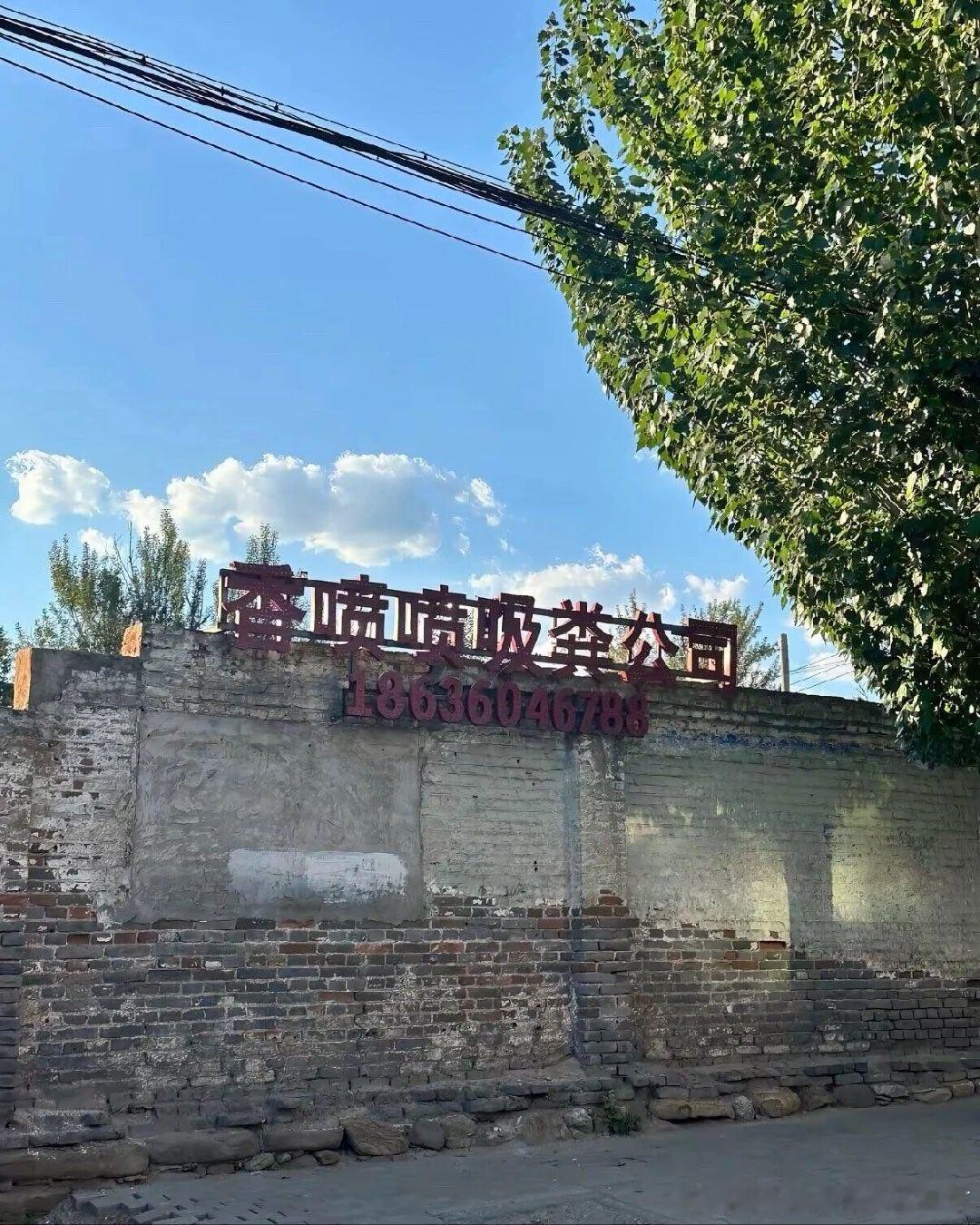 6257 香搁里拉？ 