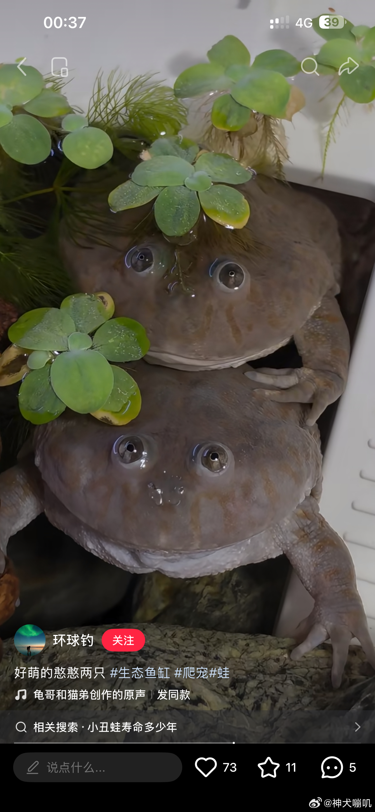 嘤嘤嘤 