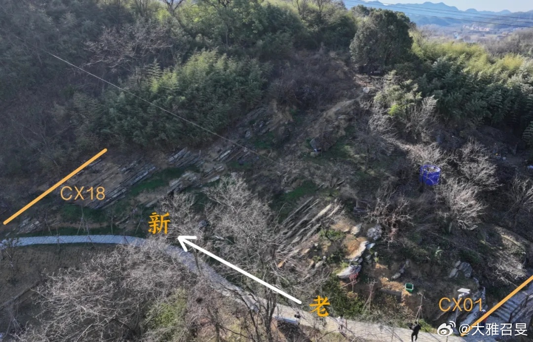 衢州常山是座硬核石力之城承千年赏石文脉，藏亿年石林奇观，蕴十亿年地质瑰宝。常山汇