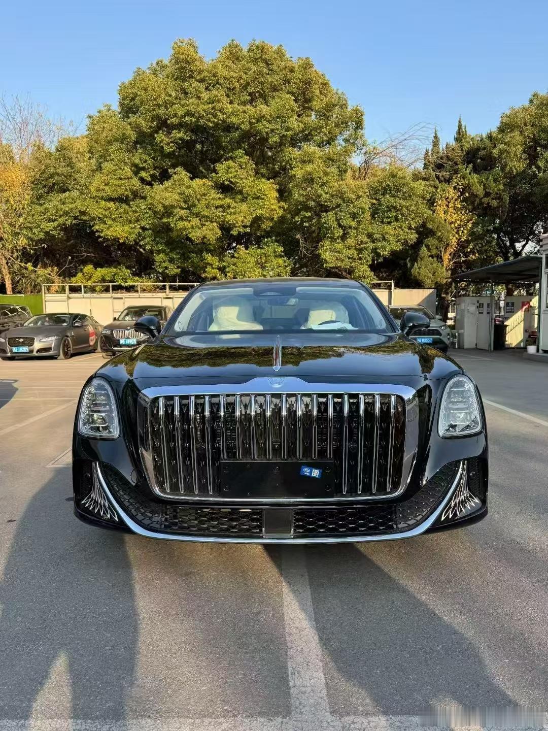 红旗国雅4.0V8，配色与配置、绝绝子、谁不迷糊！车衣！ ​​​