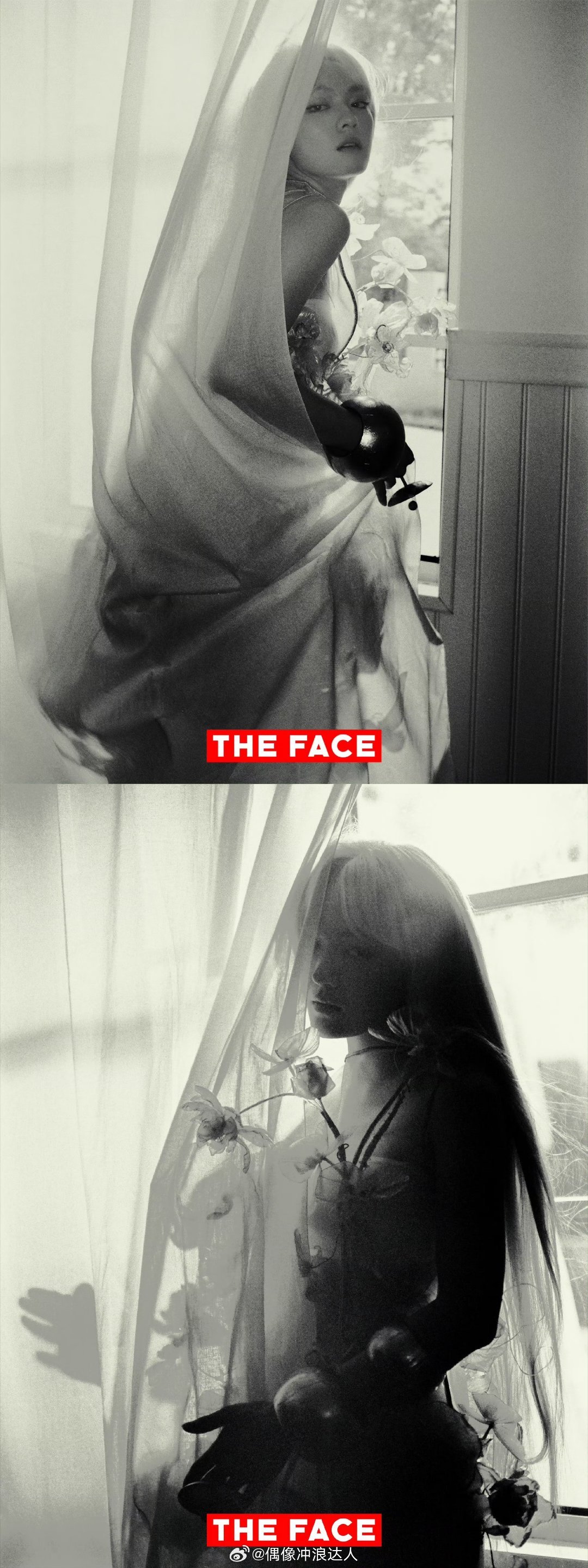 theface封面人物文淇 摄影师与演员绝妙灵感碰撞，金发造型惊艳出圈，可纯可野