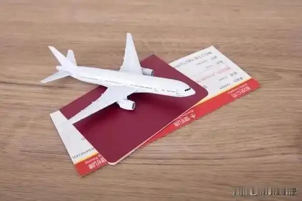 知道什么叫“钱被大风刮走”吗？试试退改机票就知道了。一万五的机票，仅退款430元