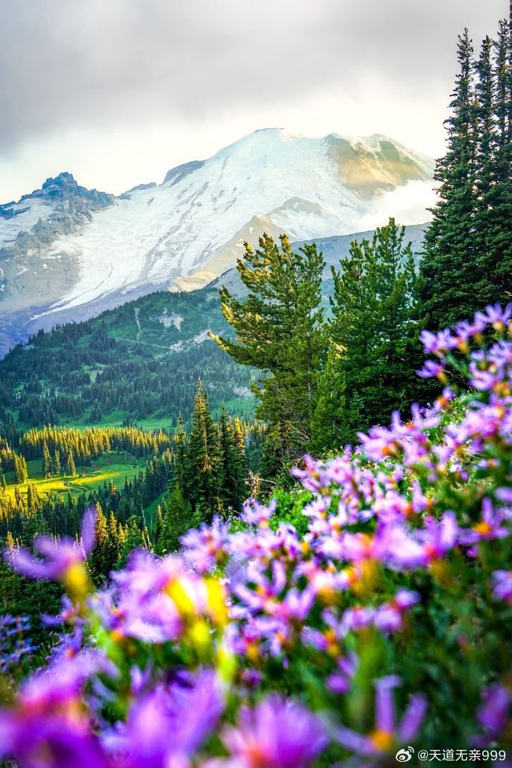 昆仑仙本—道德经：第十七章太上有德，天地晴静；太上有道，人民神圣。太有上理，万物