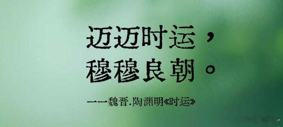 上一轮是5-10之间梭，30-40区间剁的（根据F10公开信息搜索，不违规），这