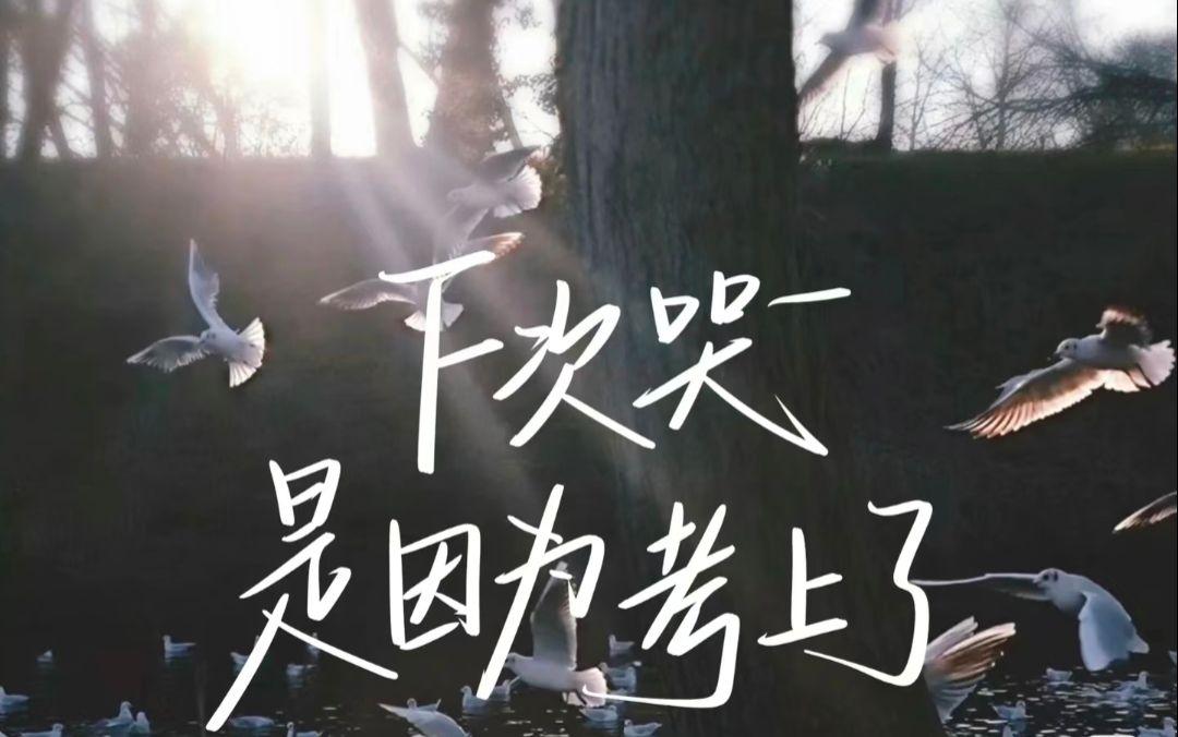 下次哭，是因为考上了。写给正在为2026高考拼命的你： 你是不是也有过...