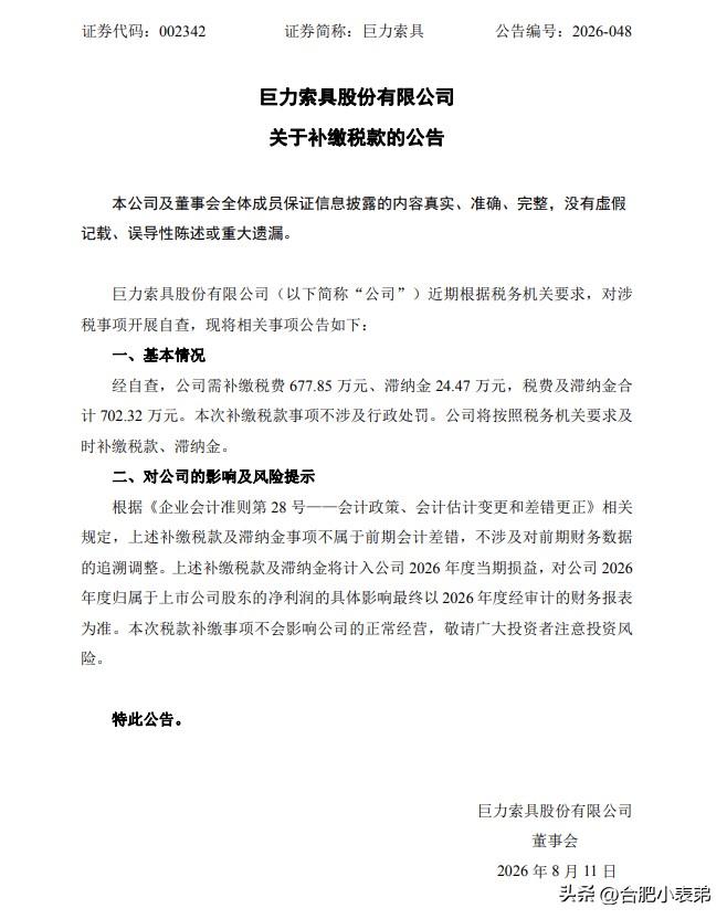 作为杨子家族核心上市资产，巨力索具此番补税也引发市场讨论，合规纳税才是企业经营底