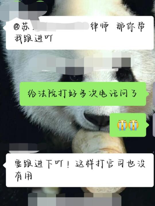 不是我不努力，是老赖名下真没钱😭