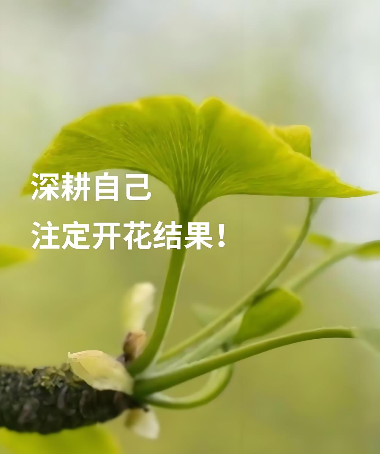 最牛掰的一句话：当你开始销声匿迹的时候，不再更新朋友圈，也不再参加好友聚会，甚至