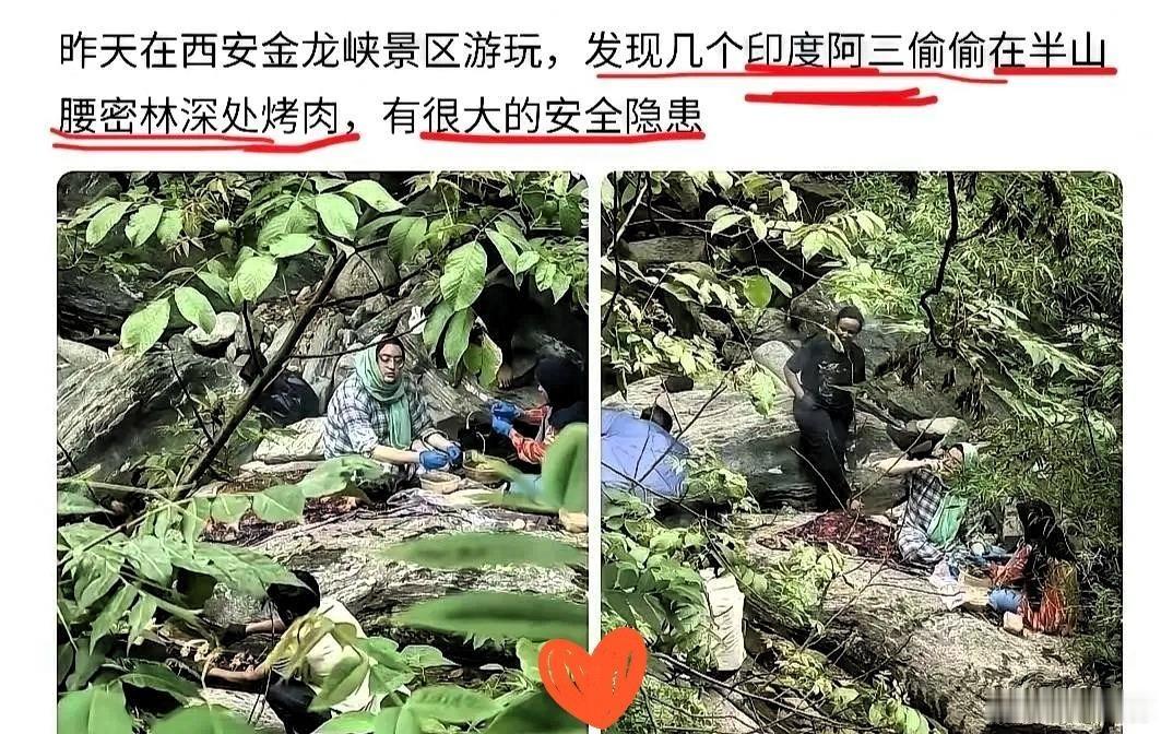 在秦岭腹地公然架起炭火烤肉，这哪里是“不懂规矩”，分明是把无知当成了免死金牌。几