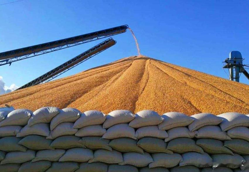 巴西大豆产量可能创纪录。巴西农业部称，随着雨季到来，截至11月03日，巴西大豆播