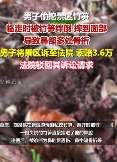 重庆，一男子在景区内因内急到竹林小便，见竹林的竹笋很嫩，于是挖了几个。谁知在离开