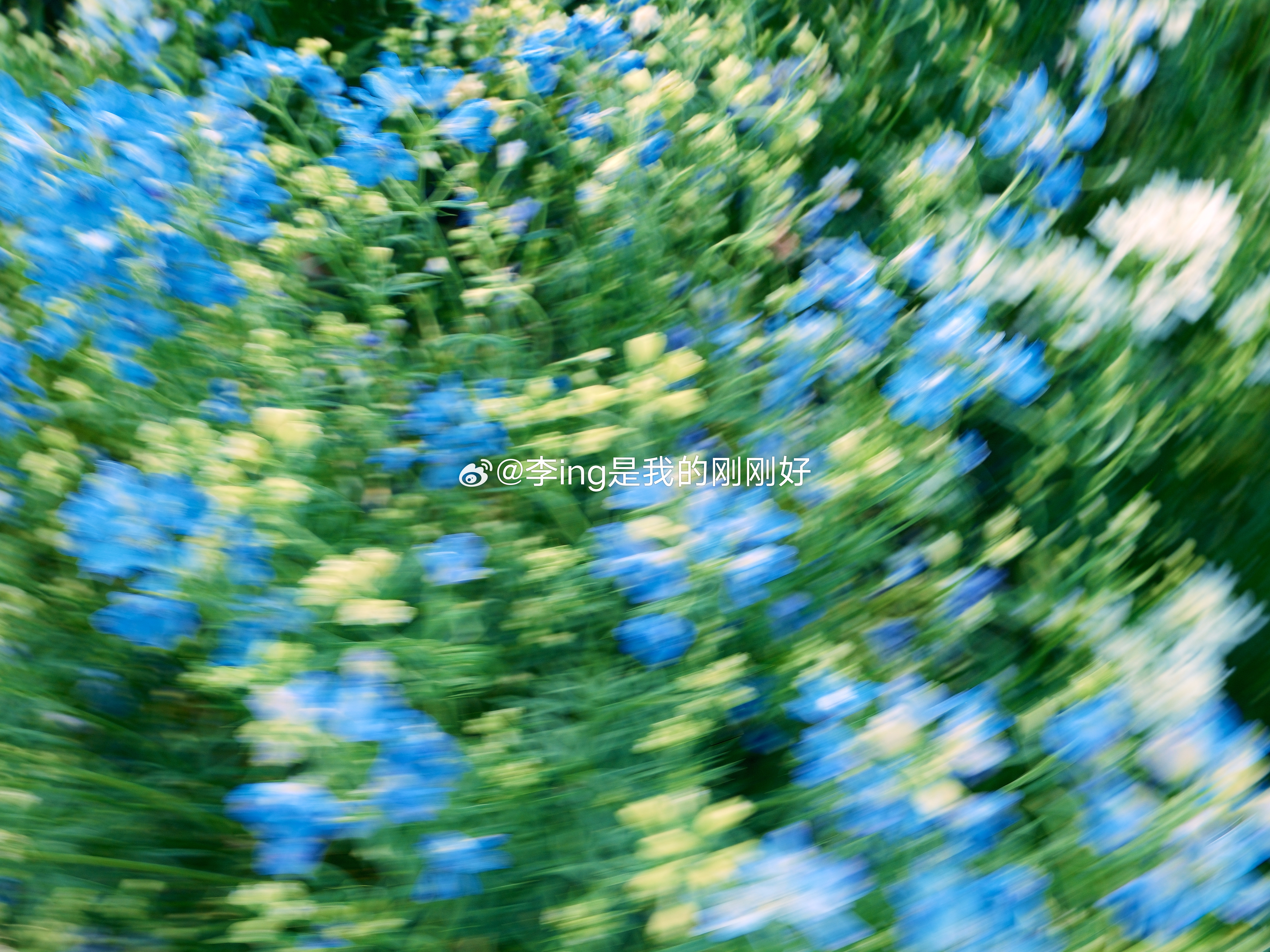 李现太会拍照了李现对摄影的热爱真不是说说而已  他真的很认真在研究拍照技巧  修