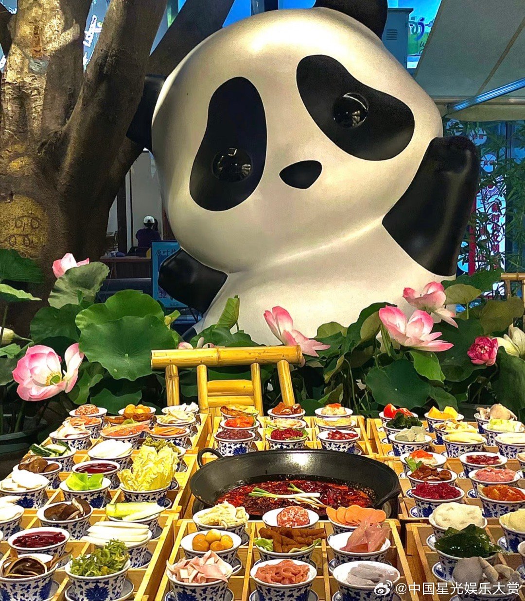 这届熊猫都有自己的小心思了 成都真的把我们给养的很好，在街头都能偶遇的大熊猫就问