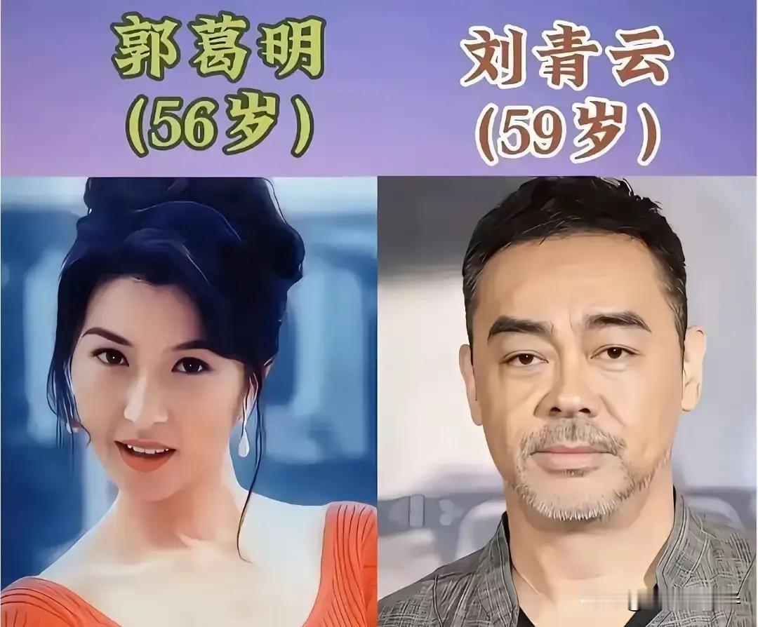 看了刘青云郭蔼明、郑秀文许志安、舒淇冯德伦这些明星夫妻的合照，才发现好的婚姻是彼