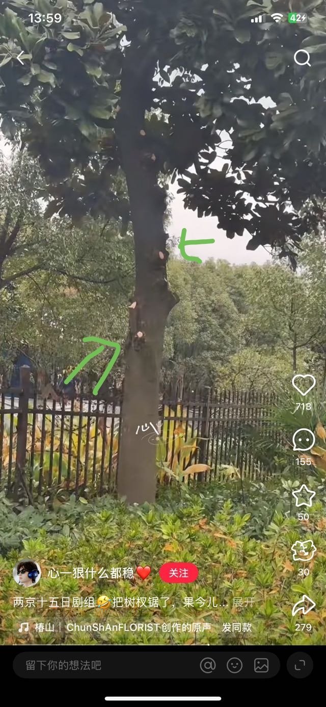成毅《两京十五日》剧组为了防止代拍偷拍，把周边的树🌲给锯了，有点好笑怎么回事儿