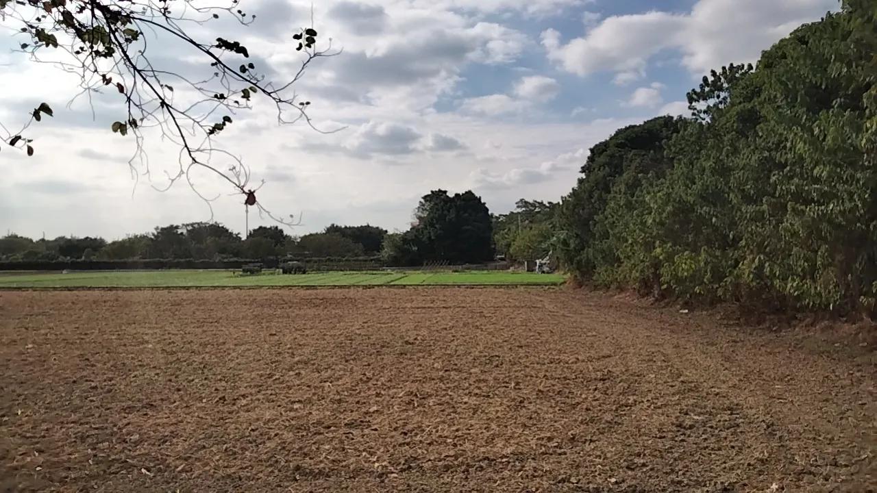 农田风景