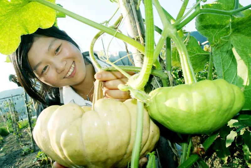 扬长避短
农大毕业事难找，
简投回复不对口。
无奈回乡自创业，
科学种植获丰收。