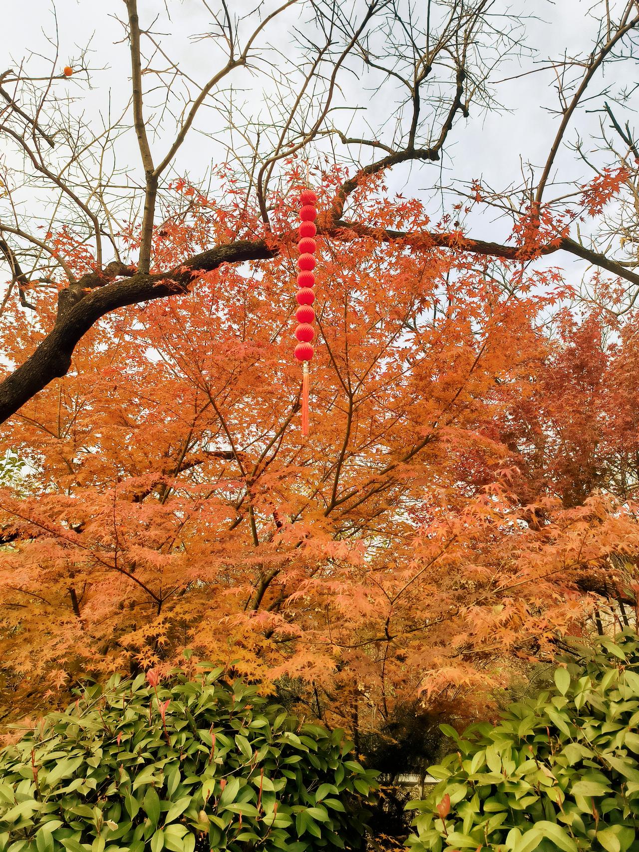 现在的孩子还喜欢听故事、讲故事吗？

这个问题值得思考。

以前做老师要想吸引学