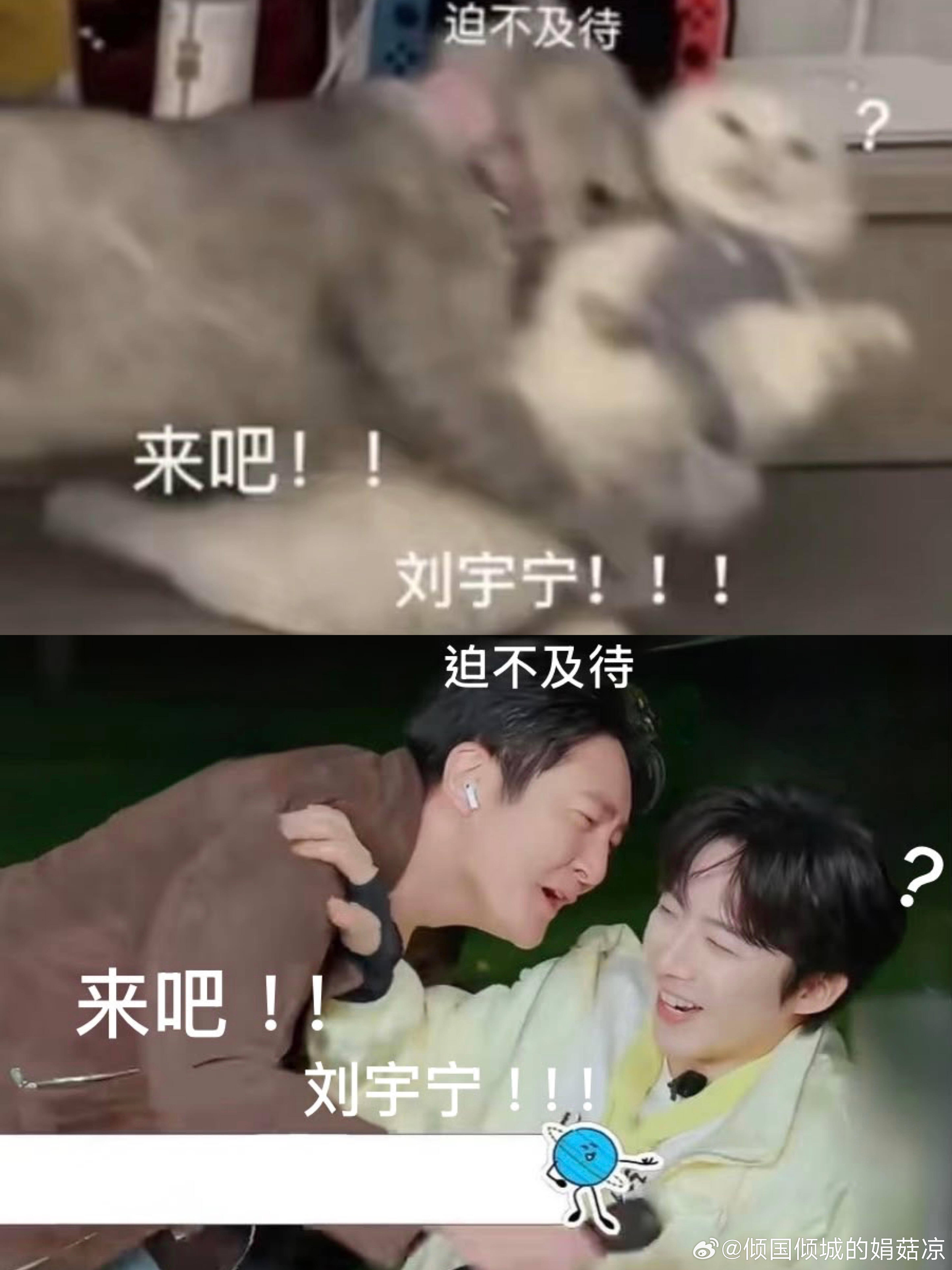 不能说很像 只能说一模一样我就知道会有人这么干哈哈哈哈，飞哥你放开刘宇宁让我来刘