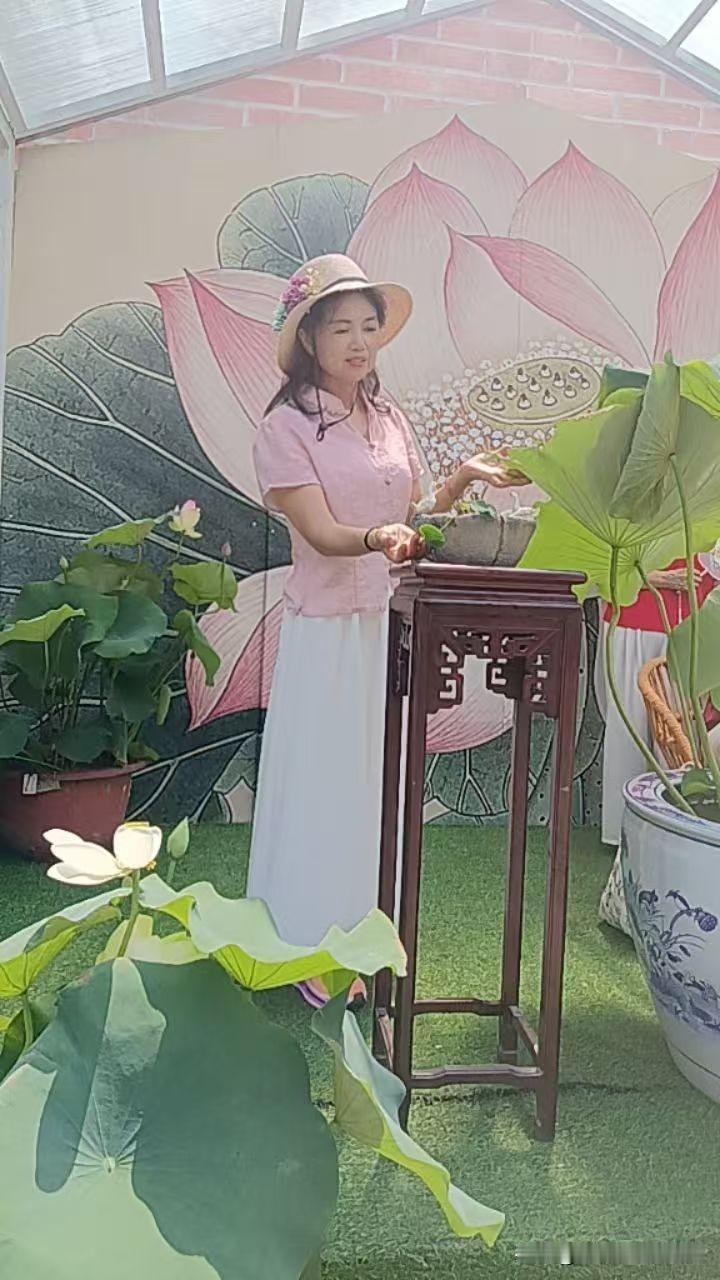 小梅真是一个知道感恩的人。

前几天我约一个朋友去沙湖公园看荷花，站在旁边的小梅
