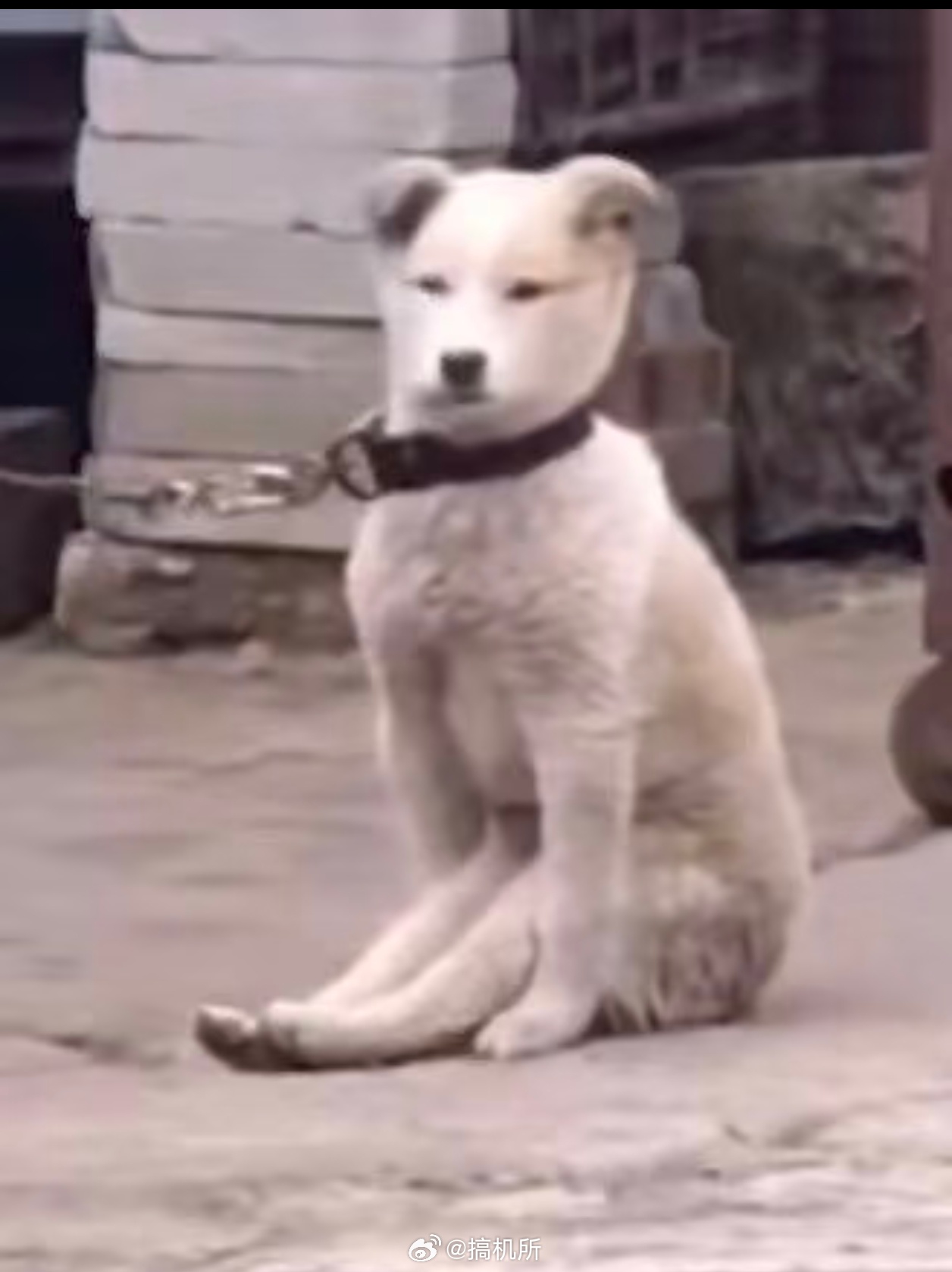 租房能不能别再开广角拍房子还有网上的那些房源照片也不太可信，实地去看了几处发现跟