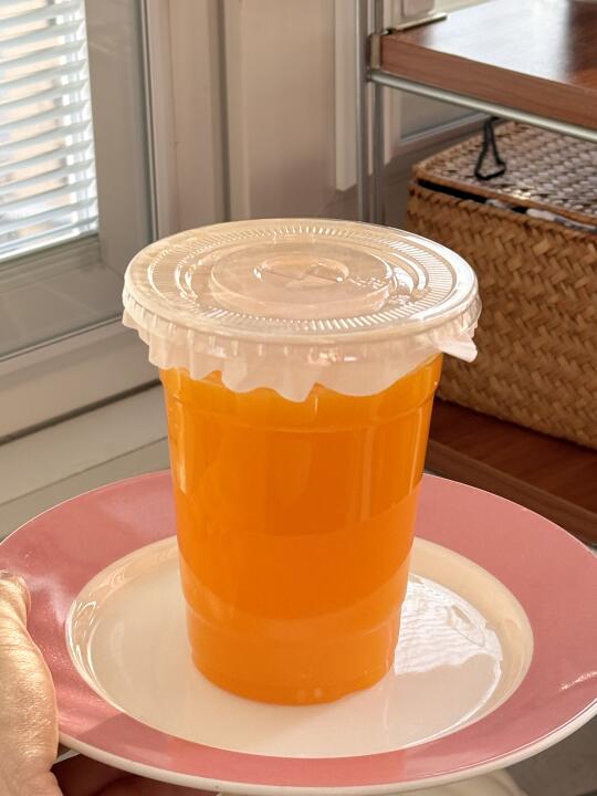 水池子边随手拍 🍊