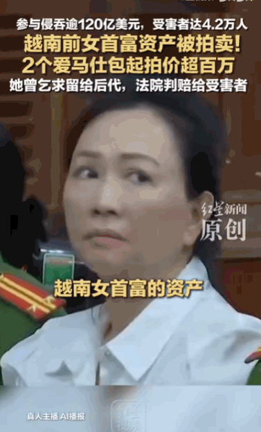 “法网恢恢，疏而不漏。”据媒体5月12日报道，在越南胡志明市，一场即将上演的线上