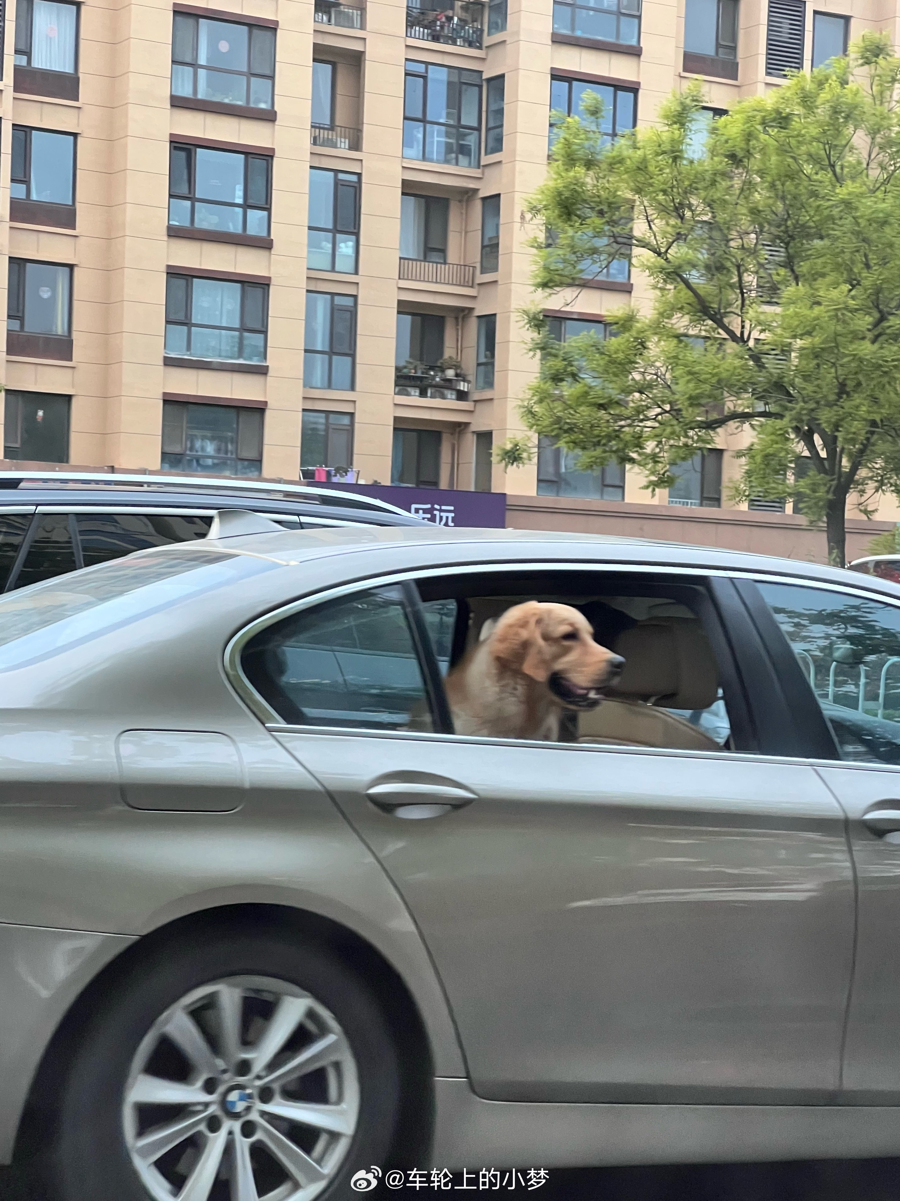 我嘞乖乖！！！这真的不会跳出来嘛[吃惊][吃惊][吃惊][吃惊] ​​​
