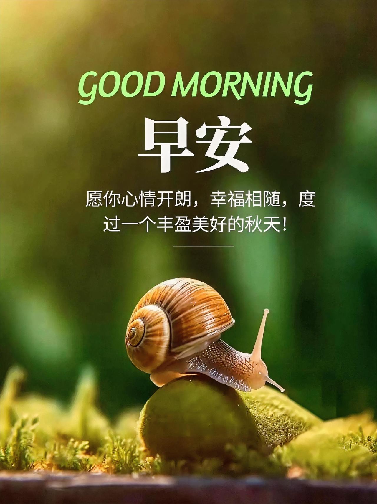 早安！小蜗牛背着重重的壳，也要努力爬上秋天的高处，愿你也元气满满开启新一天！