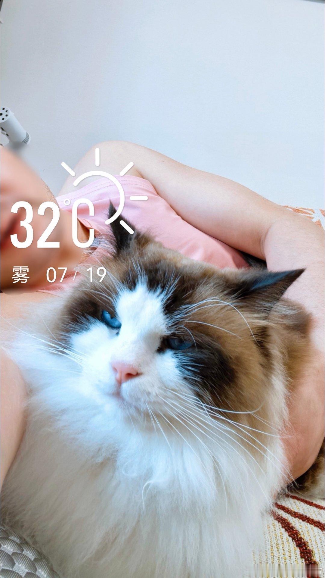 污力招财 搂着朏朏睡午觉 